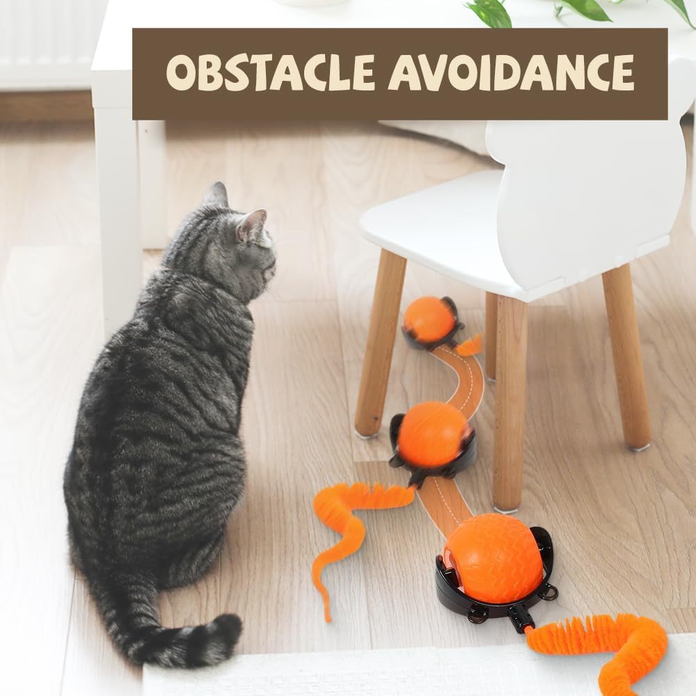 Cat playing with an obstacle with Cat toy with orange ball PawMotion – Intelligent Self-Rolling Cat Ball Toy on a wooden floor.